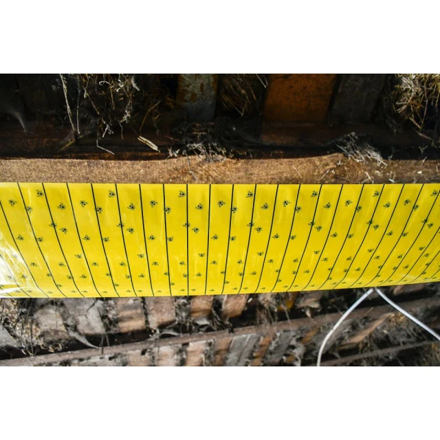 Стрічка від мух Kerbl 7 м x 30 см (4018653299784)