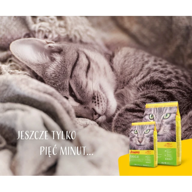 Сухий корм для котів Josera SensiCat 10 кг (4032254749219)