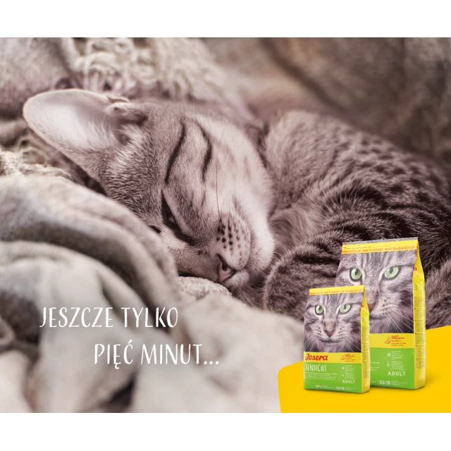 Сухий корм для котів Josera SensiCat 2 кг (4032254749226)
