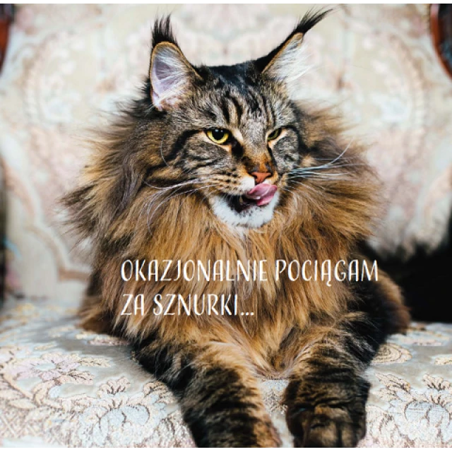 Сухий корм для котів Josera Senior 400 г (4032254757818)