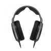 Наушники Sennheiser HD 650 Titanium (4044155249552)