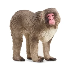 Фігурка Макакa червонолиций Schleich (14871)