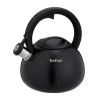 Чайник Tefal N4180410 (4168430015905)