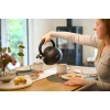 Чайник Tefal N4180410 (4168430015905)