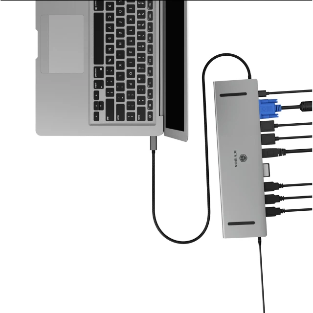 Док-станція Raidsonic IB-DK2106a-CPD 2x HDMI VGA LAN (4250078174790)