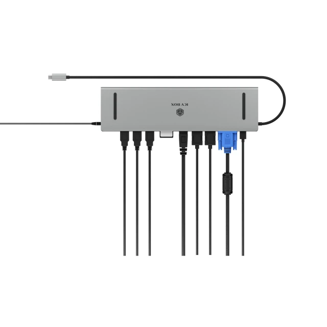 Док-станція Raidsonic IB-DK2106a-CPD 2x HDMI VGA LAN (4250078174790)