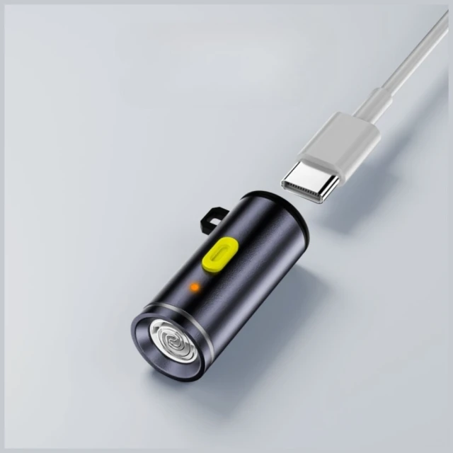 Набір аксесуарів 4smarts Explorer 4в1 кабель-брелок USB-C, адаптер USB-C до USB-C, запальничка USB-C, ліхтарик USB-C Black (541488)