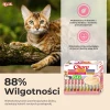Ласощі для котів INABA Churu Varieties з тунцем 60 шт x 14 г (4262365731616)