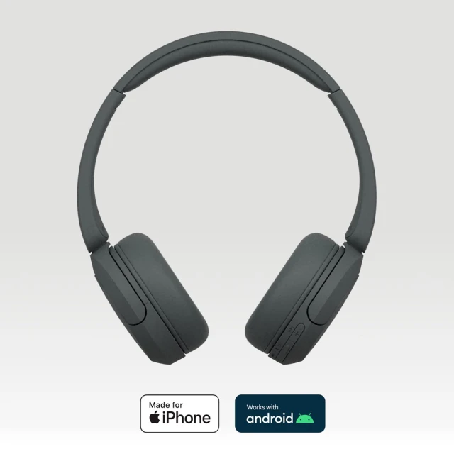 Навушники Sony WH-CH520 бездротові Black (4548736142374)