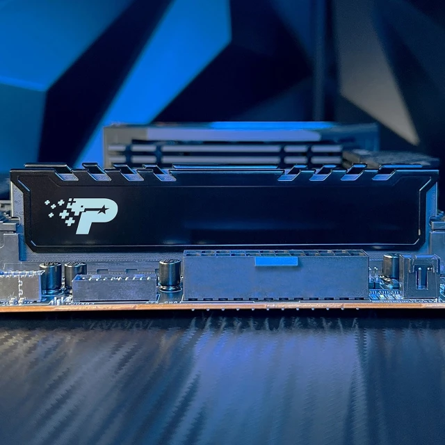 Оперативна пам'ять Patriot Memory Premium Black DDR5 16 ГБ 5600 МГц з радіатором (4711378428247)