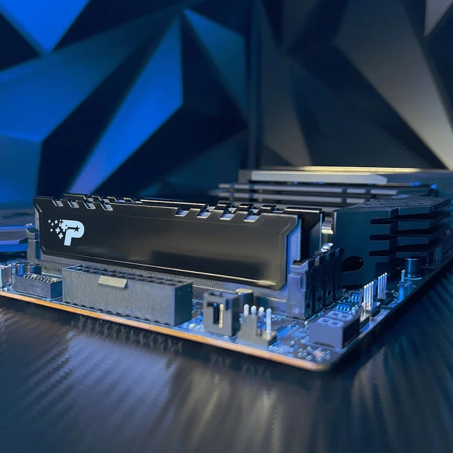 Оперативна пам'ять Patriot Memory Premium Black DDR5 16 ГБ 5600 МГц з радіатором (4711378428247)