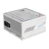 Блок живлення Gigabyte Aorus Elite Platinum ATX 3.1 ICE 850 Вт (4719331554392)