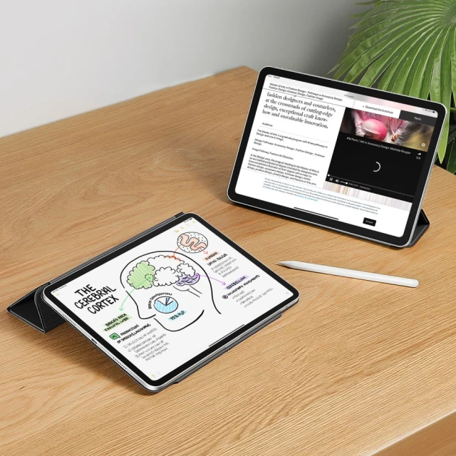 Чохол ESR Rebound Magnetic для iPad Pro 13 2024 7th Gen Black (4894240191125)