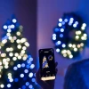 Вінок з підсвічуванням Twinkly Regal 24