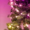 Вінок з підсвічуванням Twinkly Regal 24