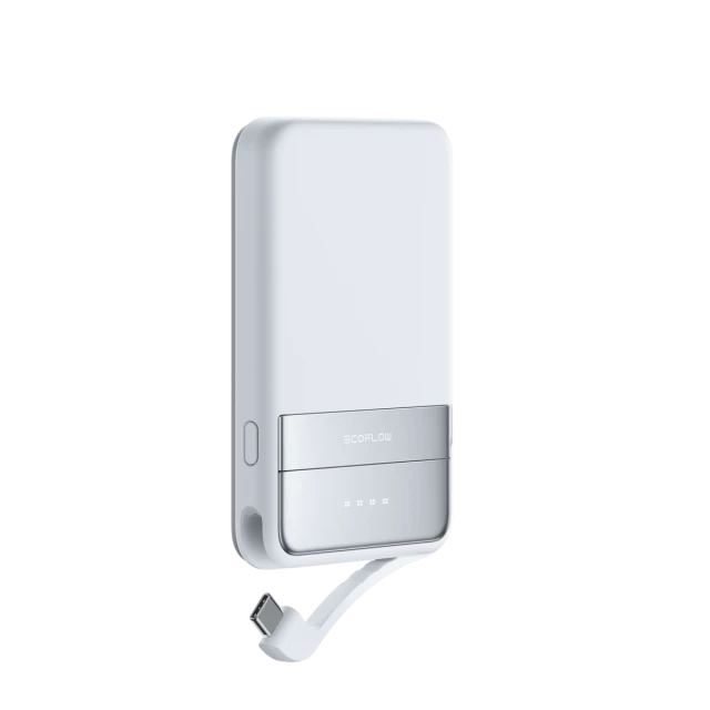 Портативний зарядний пристрій EcoFlow RAPID 5000mAh Blue (EF-RAPID5000-L-EU)