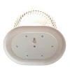 Вентилятор Maestro Best Fan BT-003 настільний USB (4897144670871)