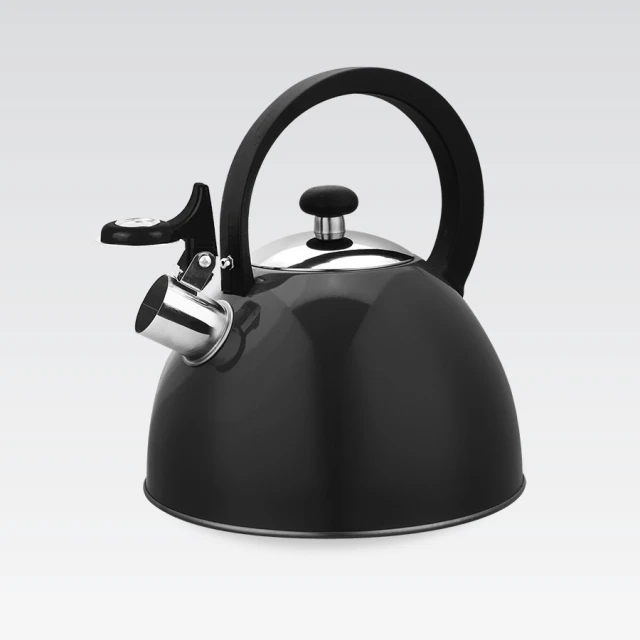 Чайник Maestro MR-1302-BLACK 2,5 л Black (4897144676934)