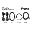 Монітор IIYAMA 31,5