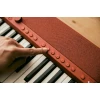 Синтезатор Casio CT-S1 Red (4971850315094)