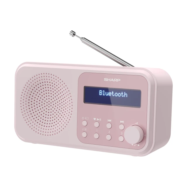Портативне радіо Sharp Tokyo Digital Radio DR-P420(PK) Bluetooth Pink (4974019204529)