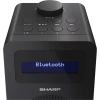 Цифрове радіо Sharp DR-430 FM/DAB/DAB+ Bluetooth 5.0 Midnight Black (4974019204536)