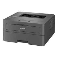 Принтер Brother HL-L2445DW лазерный монохромный WiFi Black (4977766831079)