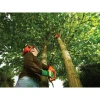 Пила цепная Black&Decker 800 Вт для веток (PS7525-QS)