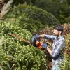 Кусторез Black&Decker BEHTS301 (BEHTS301-QS)