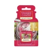 Автомобільний ароматизатор YANKEE Ultimate Red Raspberry (5038580088038)