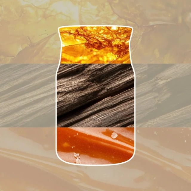 Свічка Yankee Candle Signature Amber & Sandalwood середня (5038581129259)