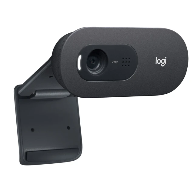 Вебкамера Logitech C505 HD (5099206093690)