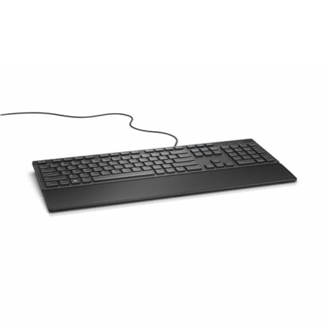 Клавиатура Dell KB216 USB российская раскладка Black (5397063745777)