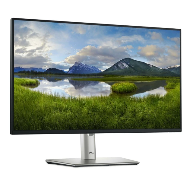 Монітор Dell P2425HE 24