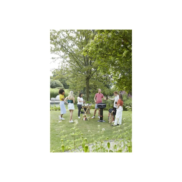 Вугільний гриль Barbecook Loewy 45 43 x 43 x 97 см Black (5400269202255)
