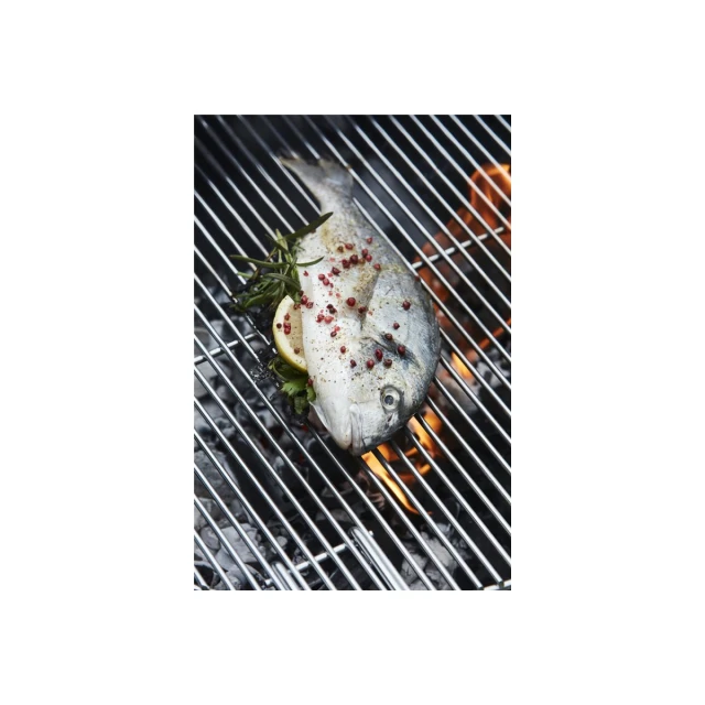 Вугільний гриль Barbecook Loewy 45 43 x 43 x 97 см Black (5400269202255)