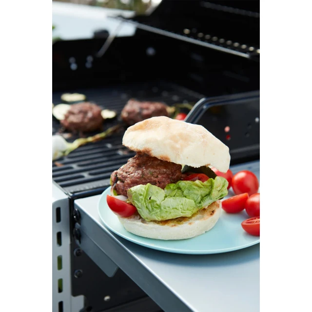 Газовий гриль Barbecook Spring 2002 111 x 55 x 115 см (5400269210557)