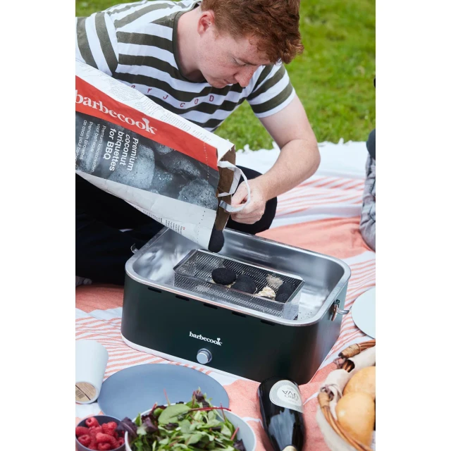Брикети кокосові преміум Barbecook 5 кг 30 шт (5420059857328)