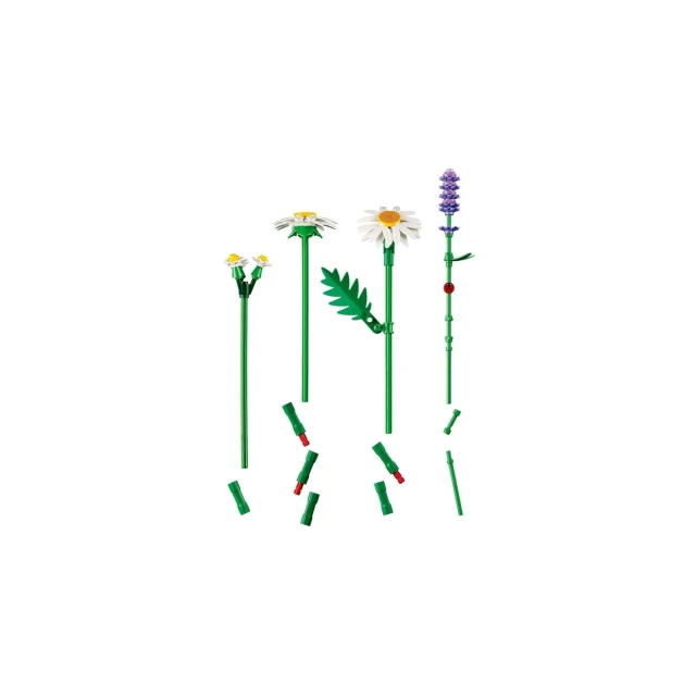 Конструктор LEGO Botanicals Ромашки 133 елементи (11508)