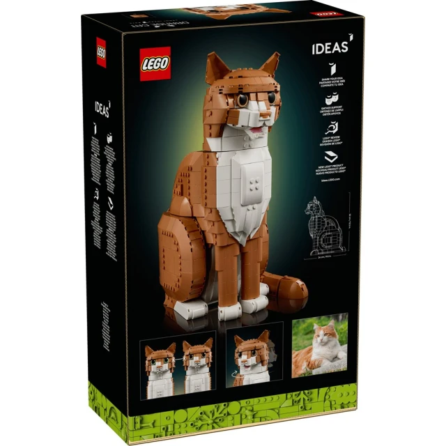 Конструктор LEGO Ideas Помаранчевий кіт 1755 деталей (21376)