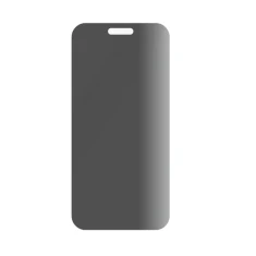 Защитное стекло PanzerGlass SAFE Privacy Screen Protector Ultra-Wide Fit для iPhone 16 Pro Max (5715685002809)