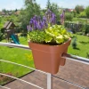 Вазон балконний LAMELA LOBELIA 450x290 Red (5900119316434)