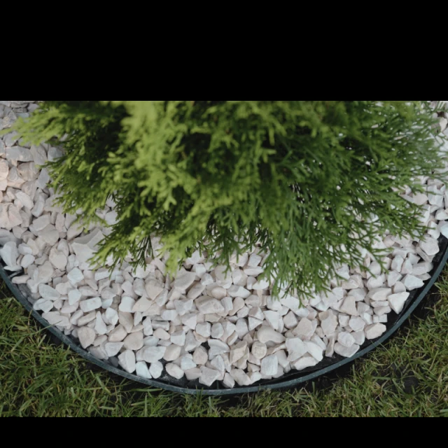 Бордюр садовий еластичний LAMELA 800x80x60 Black (5900119900091)