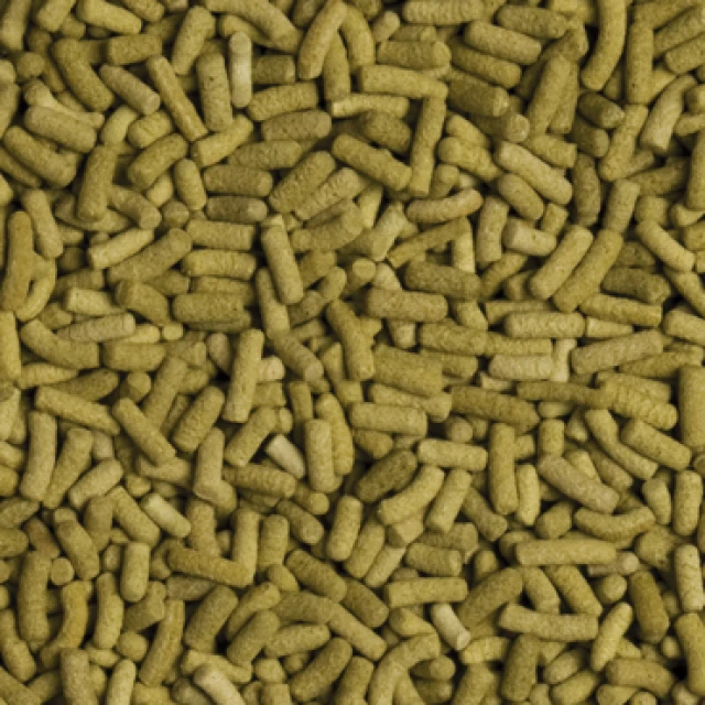 Корм для сухопутних черепах Tropical Biorept L 5000 мл (5900469113585)