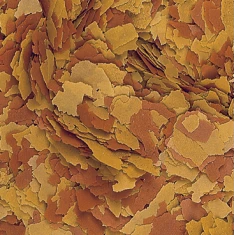 Корм для риб Tropical Vitality&Color високобілковий 5000 мл (5900469704370)