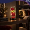 Троянда світлодіодна у скляній вазі Glimz 22 см Red (5900779910232)