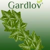 Гірлянда штучний плющ Gardlov 50,4 м (5900779941465)