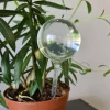 Кулі для поливу рослин Gardlov 8 шт (5900779942769)