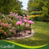 Садовий світильник сонячний Фламінго Gardlov 3 шт (5900779942844)