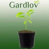 Горщик виробничий набір Gardlov 500 шт (5900779942943)